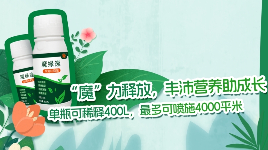 园林绿化植物的蜕变——华苑园林新品叶面肥使用效果前后对比