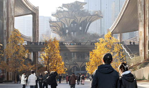 西安华润CCBD生命之树（秋冬实景）